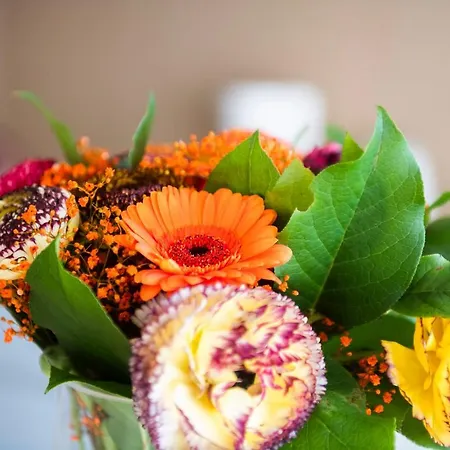 Aparthotel Belcasa & Lofts