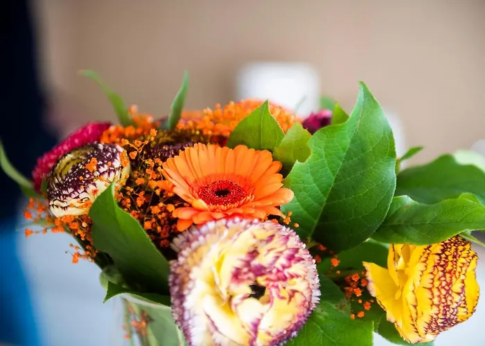 Ξενοδοχείο με διαμερίσματα Belcasa & Lofts